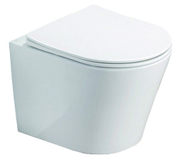 Azario Teramo (круглый) подвесной безободковый унитаз в комплекте с сидением микролифт 480*365*360 (