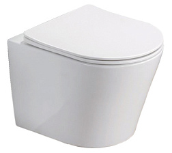 Azario Atrio Унитаз подвесной безободковый с сиденьем микролифт 490x365x360