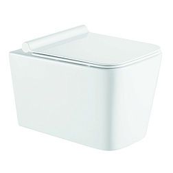 Azario Mona Размер 530x360x365 мм подвесной безободковый унитаз в комплекте с сидением микролифт.